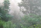 Wangurilandscaping-irrigation-4.jpg; ?>